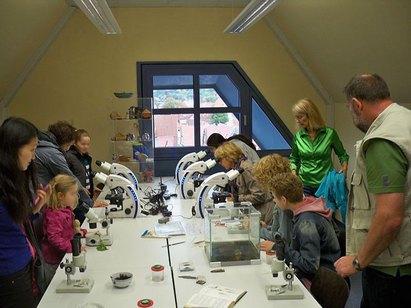 Mikroskopieren im Um-Weltbildungsraum