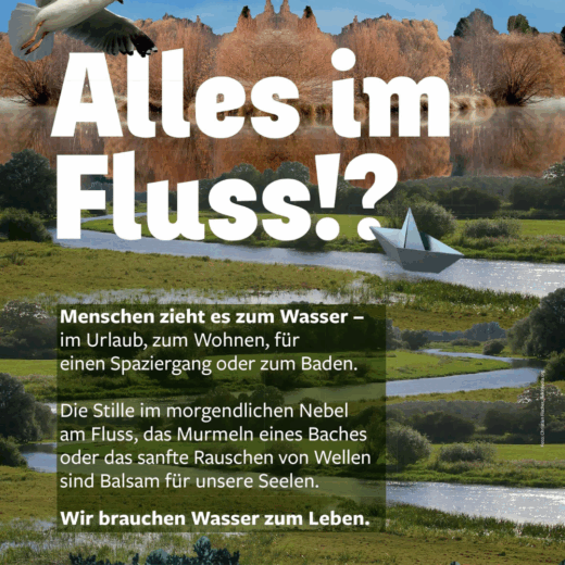 Bild: Heinrich-Böll-Stiftung